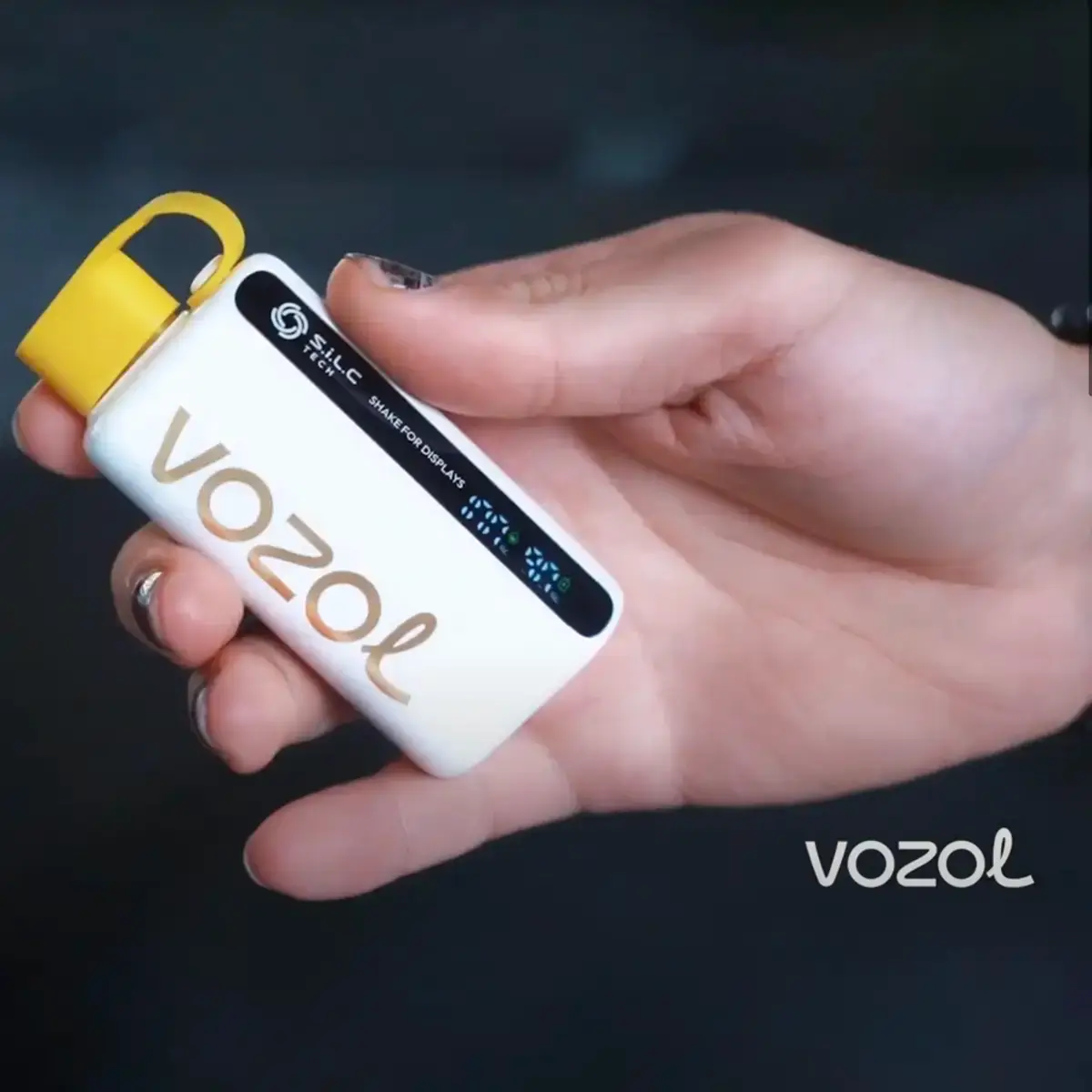 Vozol 12000 Sipariş Ver